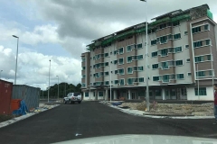 82021599_10217357722071405_3799699215345516544_n